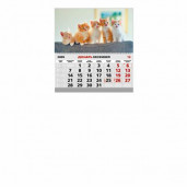 Отрывной Одинарный 20х30см